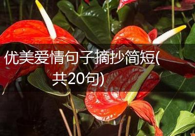优美爱情句子摘抄简短(共20句)