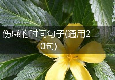 伤感的时间句子(通用20句)