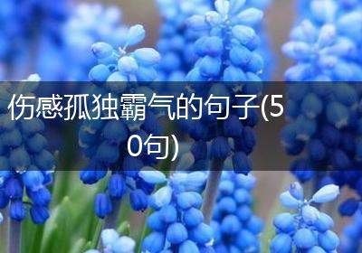 伤感孤独霸气的句子(50句)