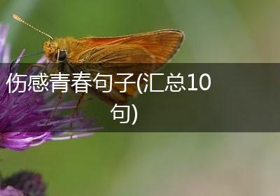 伤感青春句子(汇总10句)