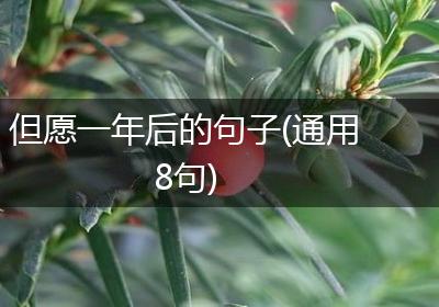 但愿一年后的句子(通用8句)