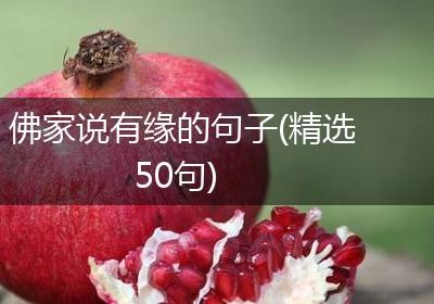 佛家说有缘的句子(精选50句)
