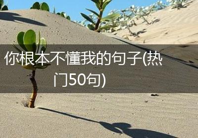 你根本不懂我的句子(热门50句)