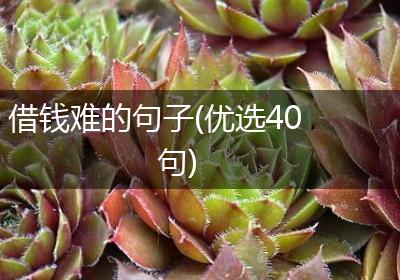 借钱难的句子(优选40句)