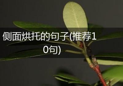 侧面烘托的句子(推荐10句)