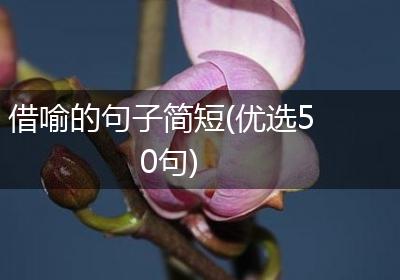 借喻的句子简短(优选50句)