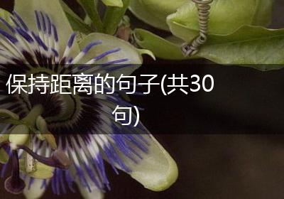 保持距离的句子(共30句)