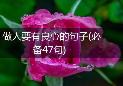 做人要有良心的句子(必备47句)
