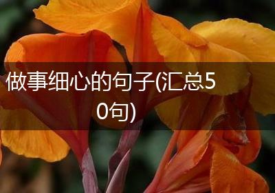 做事细心的句子(汇总50句)