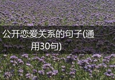 公开恋爱关系的句子(通用30句)