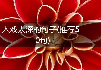 入戏太深的句子(推荐50句)
