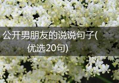 公开男朋友的说说句子(优选20句)