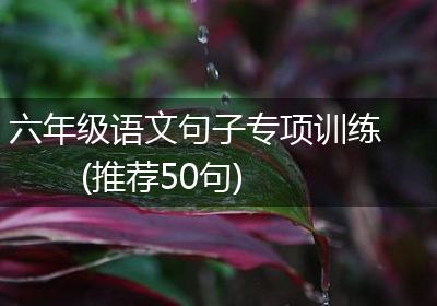 六年级语文句子专项训练(推荐50句)