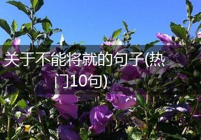 关于不能将就的句子(热门10句)