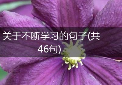 关于不断学习的句子(共46句)