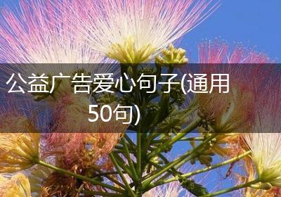 公益广告爱心句子(通用50句)
