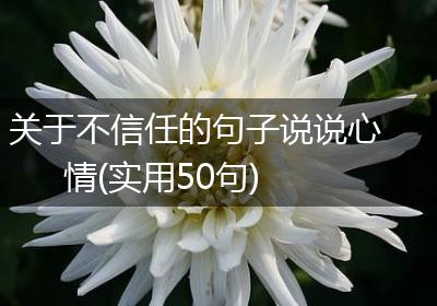 关于不信任的句子说说心情(实用50句)