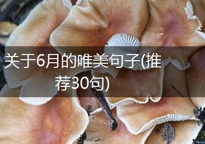 关于6月的唯美句子(推荐30句)