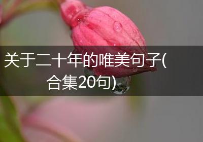 关于二十年的唯美句子(合集20句)
