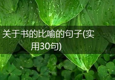 关于书的比喻的句子(实用30句)