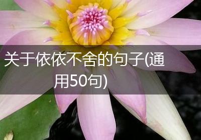 关于依依不舍的句子(通用50句)