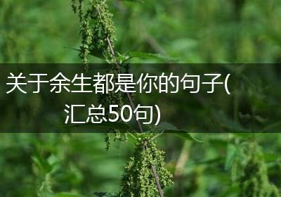 关于余生都是你的句子(汇总50句)