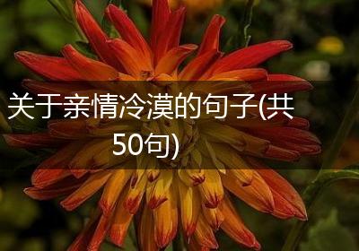 关于亲情冷漠的句子(共50句)