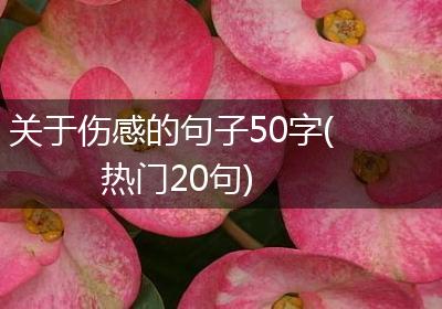 关于伤感的句子50字(热门20句)