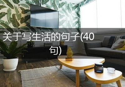 关于写生活的句子(40句)