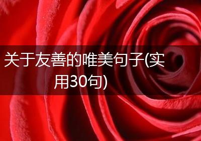 关于友善的唯美句子(实用30句)