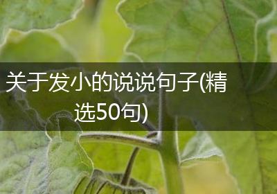 关于发小的说说句子(精选50句)