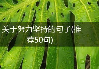 关于努力坚持的句子(推荐50句)