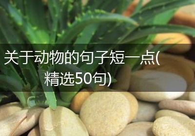 关于动物的句子短一点(精选50句)