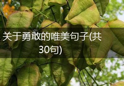 关于勇敢的唯美句子(共30句)