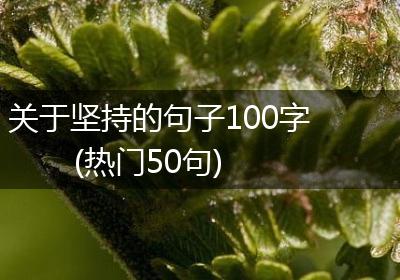 关于坚持的句子100字(热门50句)