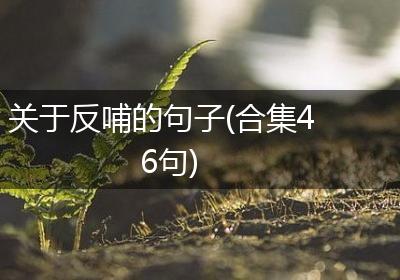关于反哺的句子(合集46句)