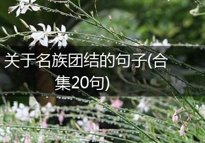 关于名族团结的句子(合集20句)