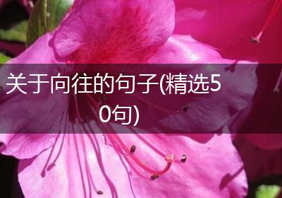 关于向往的句子(精选50句)
