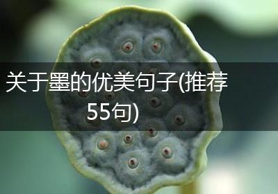 关于墨的优美句子(推荐55句)