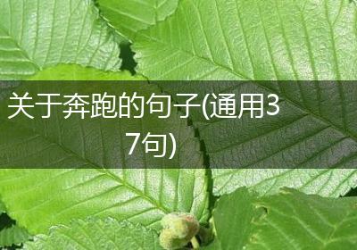关于奔跑的句子(通用37句)