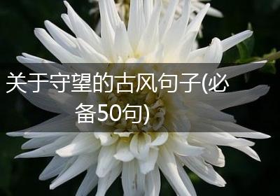 关于守望的古风句子(必备50句)
