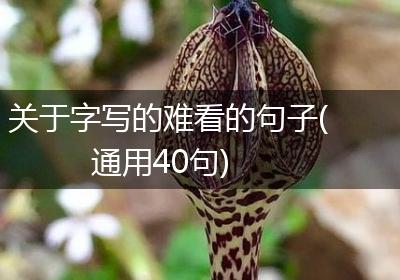 关于字写的难看的句子(通用40句)