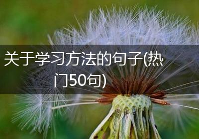 关于学习方法的句子(热门50句)