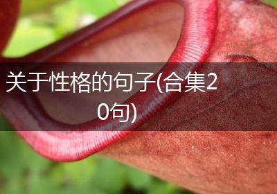 关于性格的句子(合集20句)