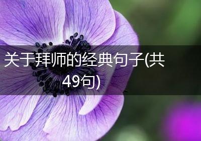 关于拜师的经典句子(共49句)