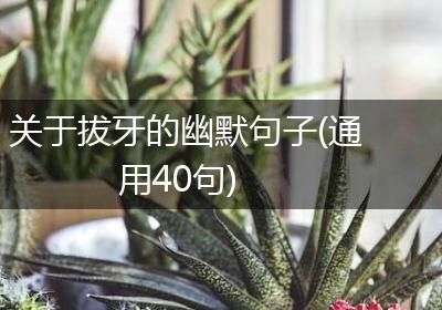 关于拔牙的幽默句子(通用40句)