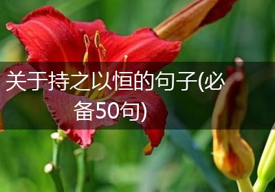 关于持之以恒的句子(必备50句)