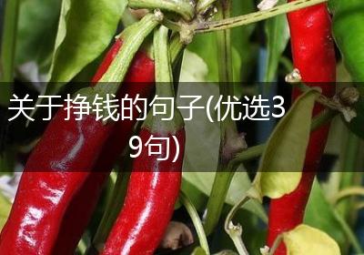 关于挣钱的句子(优选39句)