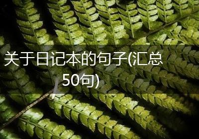 关于日记本的句子(汇总50句)