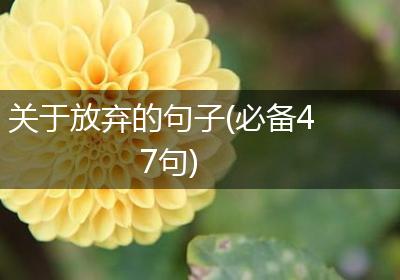 关于放弃的句子(必备47句)